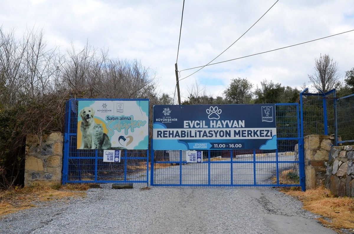 "Evcil Hayvan Rehabilitasyon Merkezi 10 gün içinde yeniden ziyarete açılacak