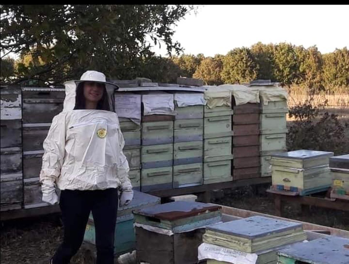 Kadın üreticinin 50 bin TL değerindeki kovanlarını çaldılar