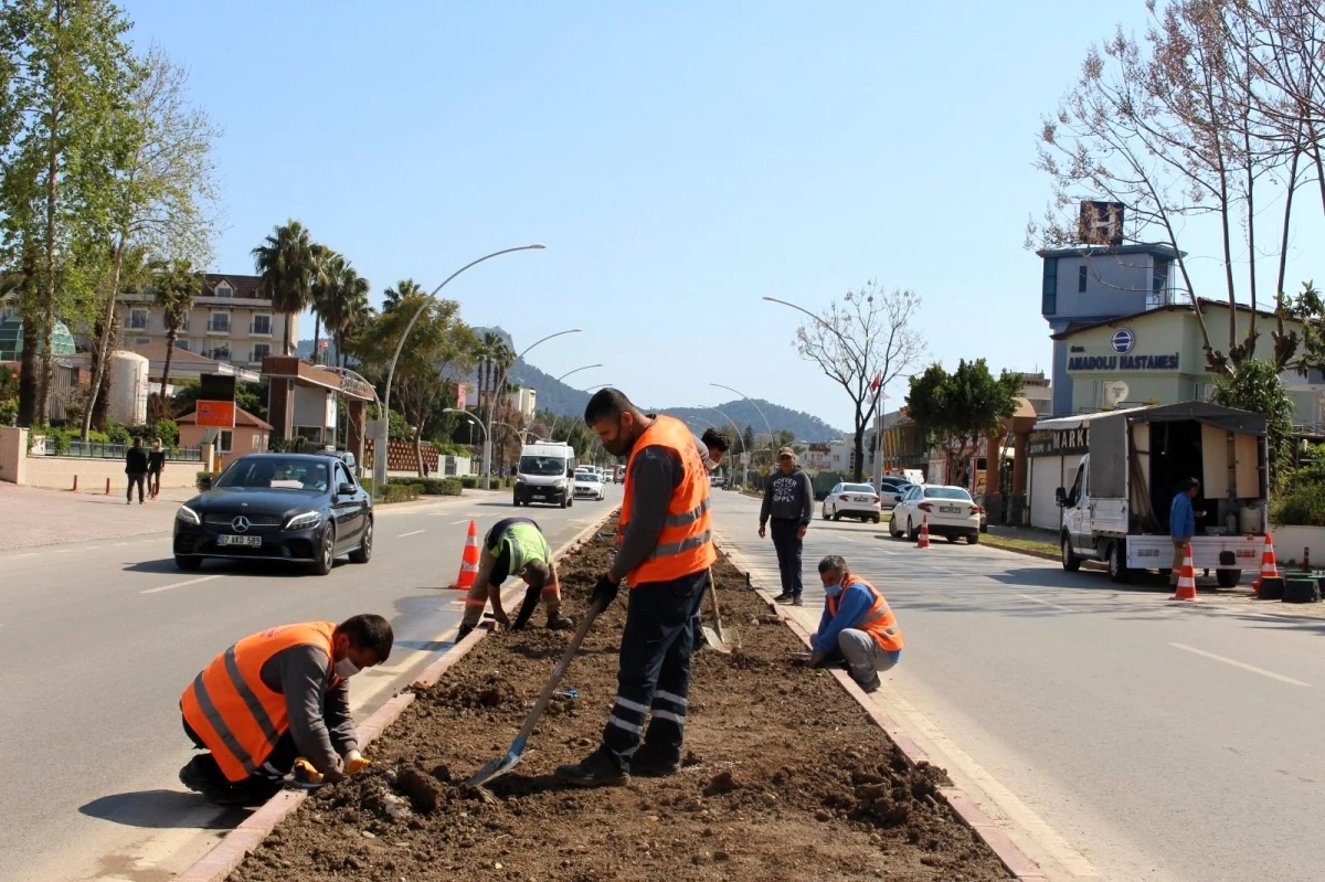 Kemer\'de sezon öncesi peyzaj çalışması başlatıldı