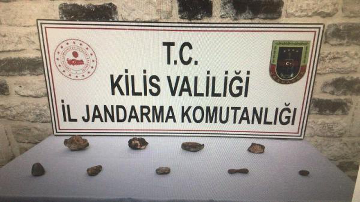 Kilis\'te, 170 milyon yıllık 7 fosil ele geçirildi