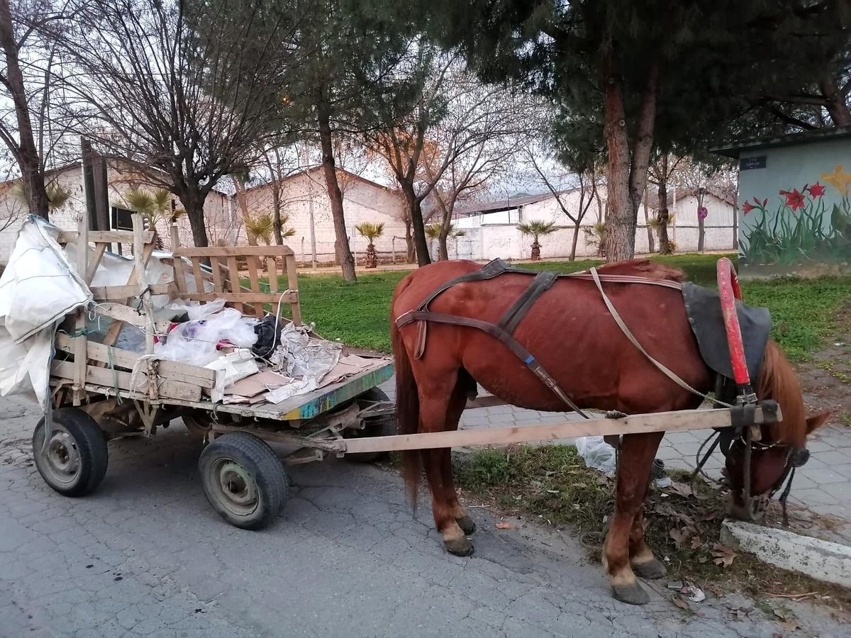 Manisa\'da at arabaları trafikten men edildi