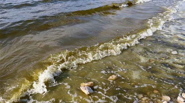 Rengi değiştiği için korkutan Burdur Gölü'nde 'yeşil alg patlaması' yaşandığı ortaya çıktı