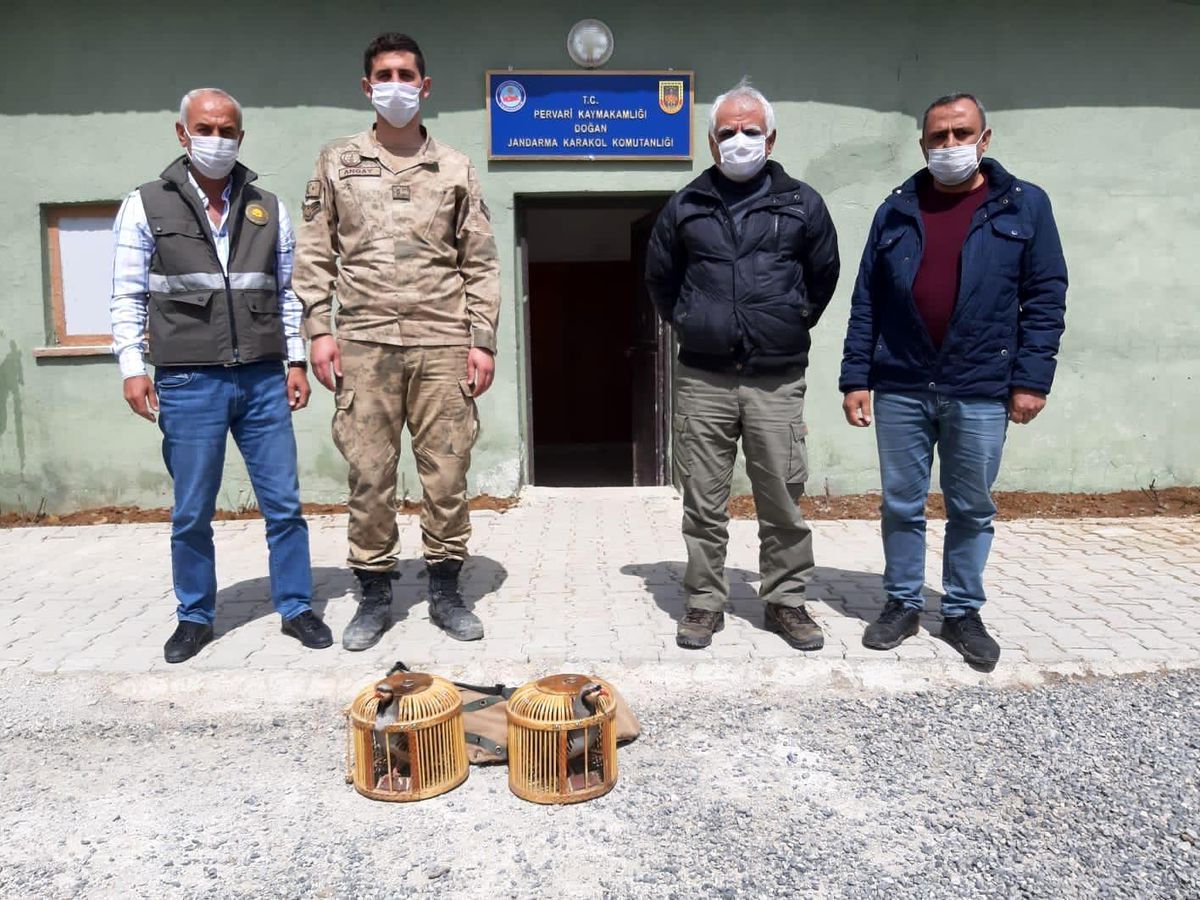 Siirt\'te kaçak avcılık yaptığı tespit edilen şahıs hakkında tutanak tutuldu
