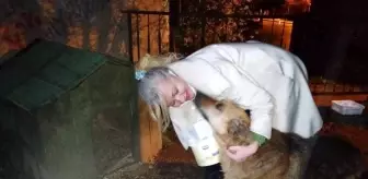Sokak hayvanlarına bahçesinde bakıyor