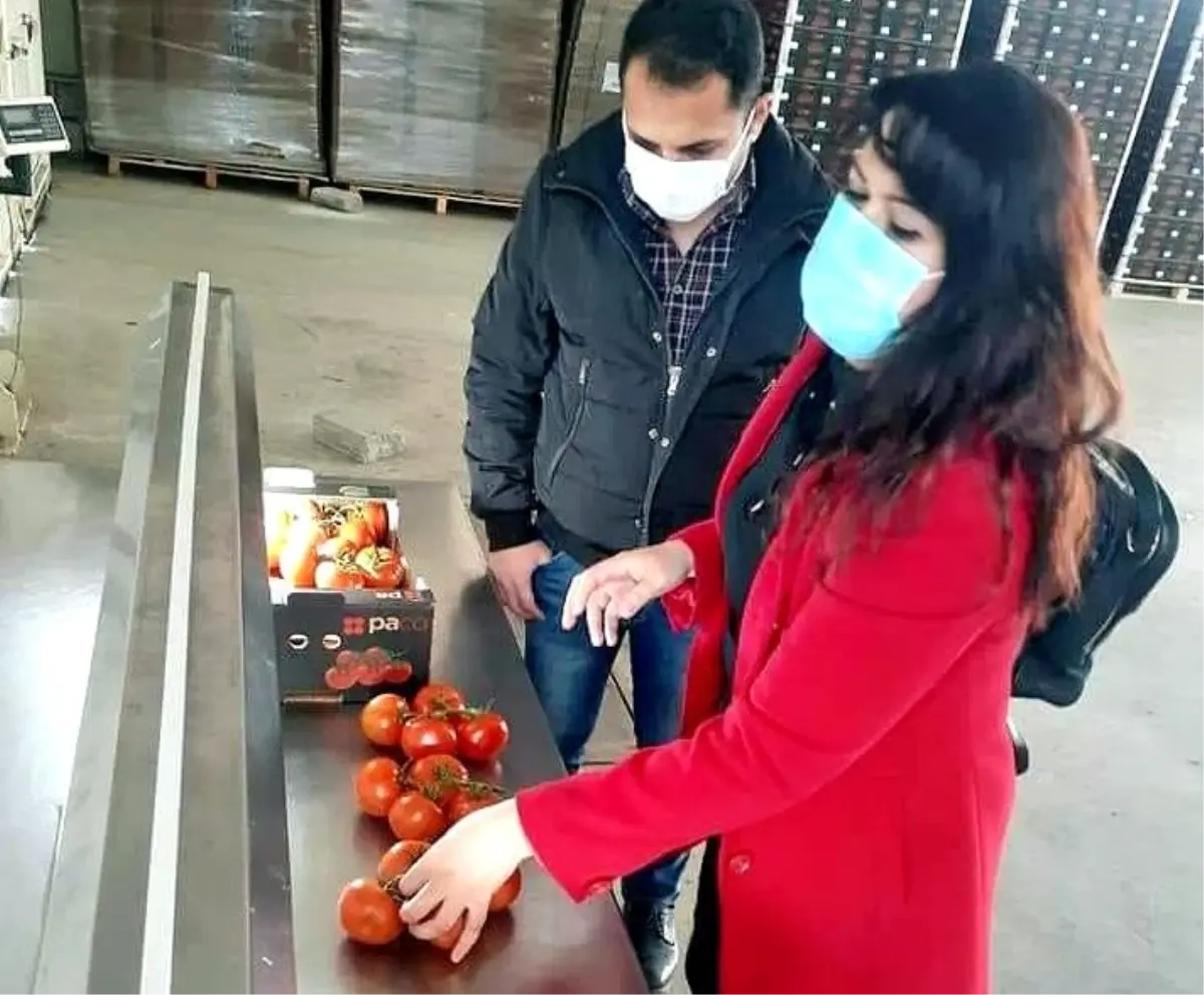 Söke\'den 2021 yılının ilk üç ayında 15 bin ton zirai ürünün ihracatı yapıldı