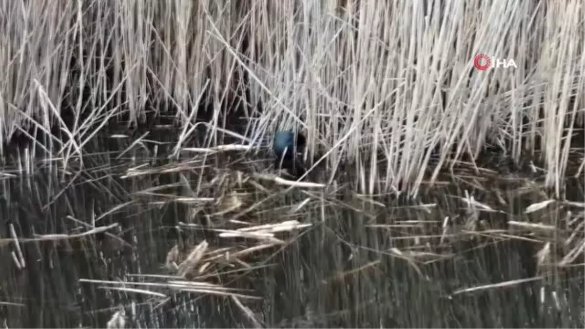 Sultan Sazlığı Kuş Cenneti turistlerin uğrak yeri oldu