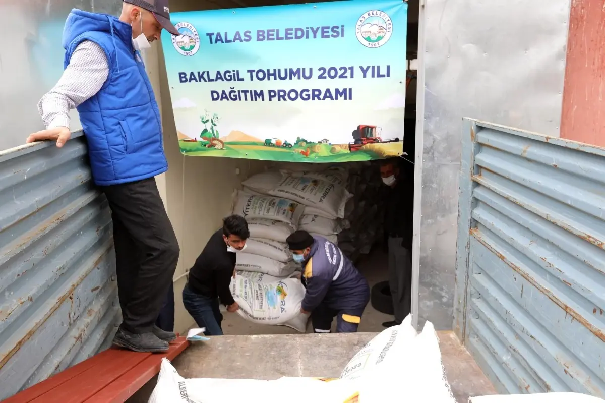 Talas Belediyesi baklagil tohumu dağıtıyor