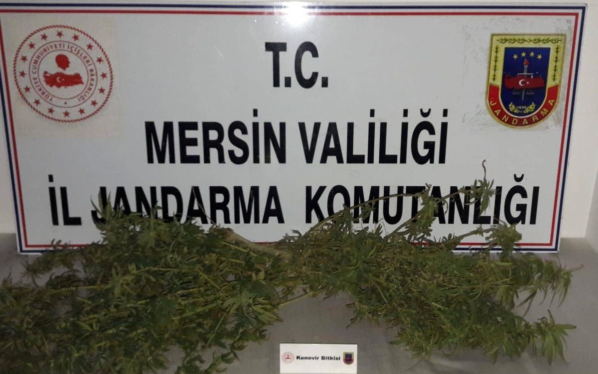Son dakika: Tarsus\'ta uyuşturucu operasyonu