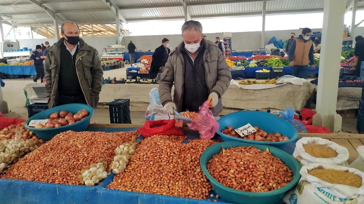 Tohumluk kuru soğanın kilogram fiyatı 5 TL\'ye kadar düştü