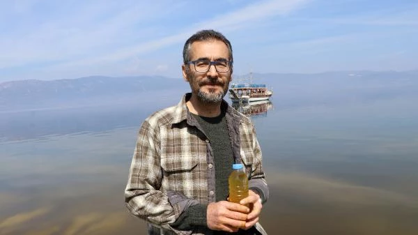 Rengi değiştiği için korkutan Burdur Gölü'nde 'yeşil alg patlaması' yaşandığı ortaya çıktı