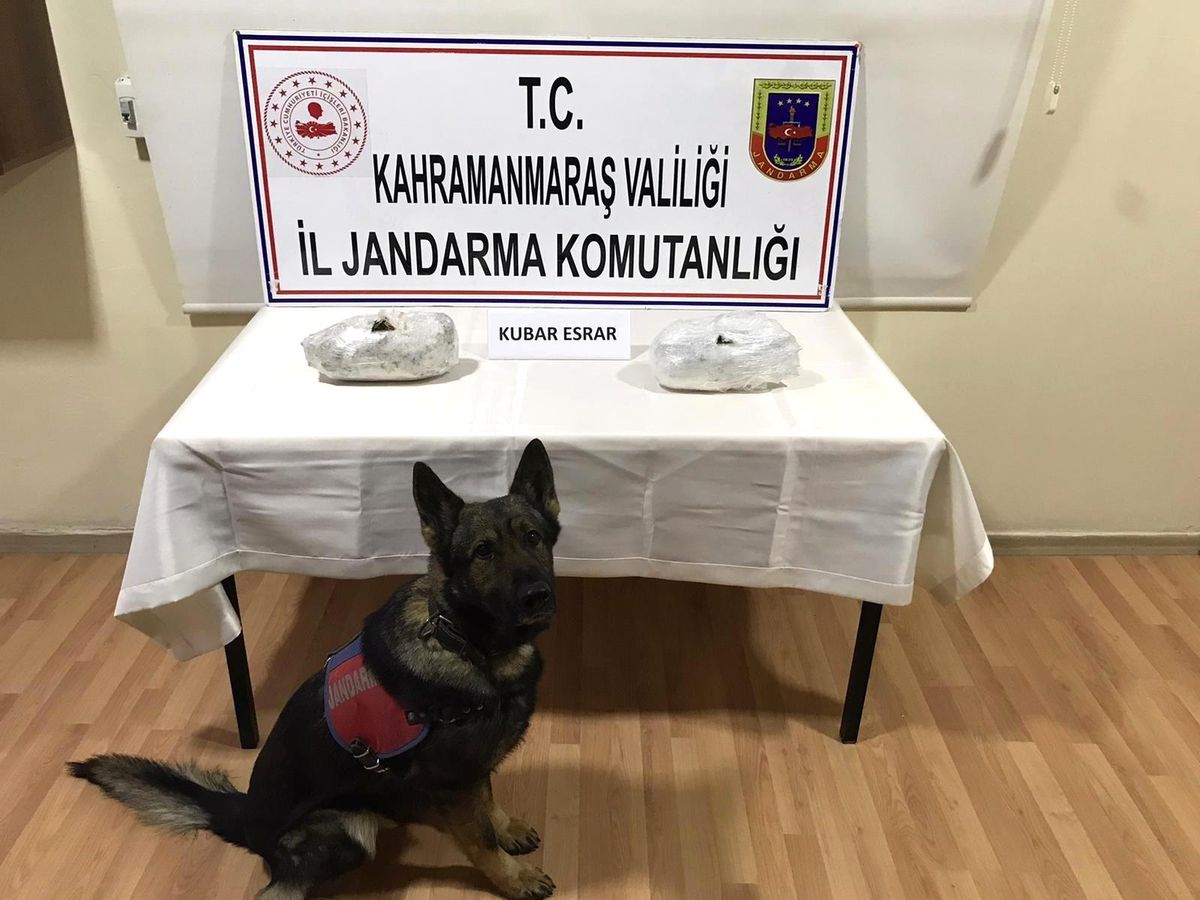 Son dakika haber | Yolcu otobüsünde uyuşturucu ile yakalanan 2 kişi gözaltına alındı