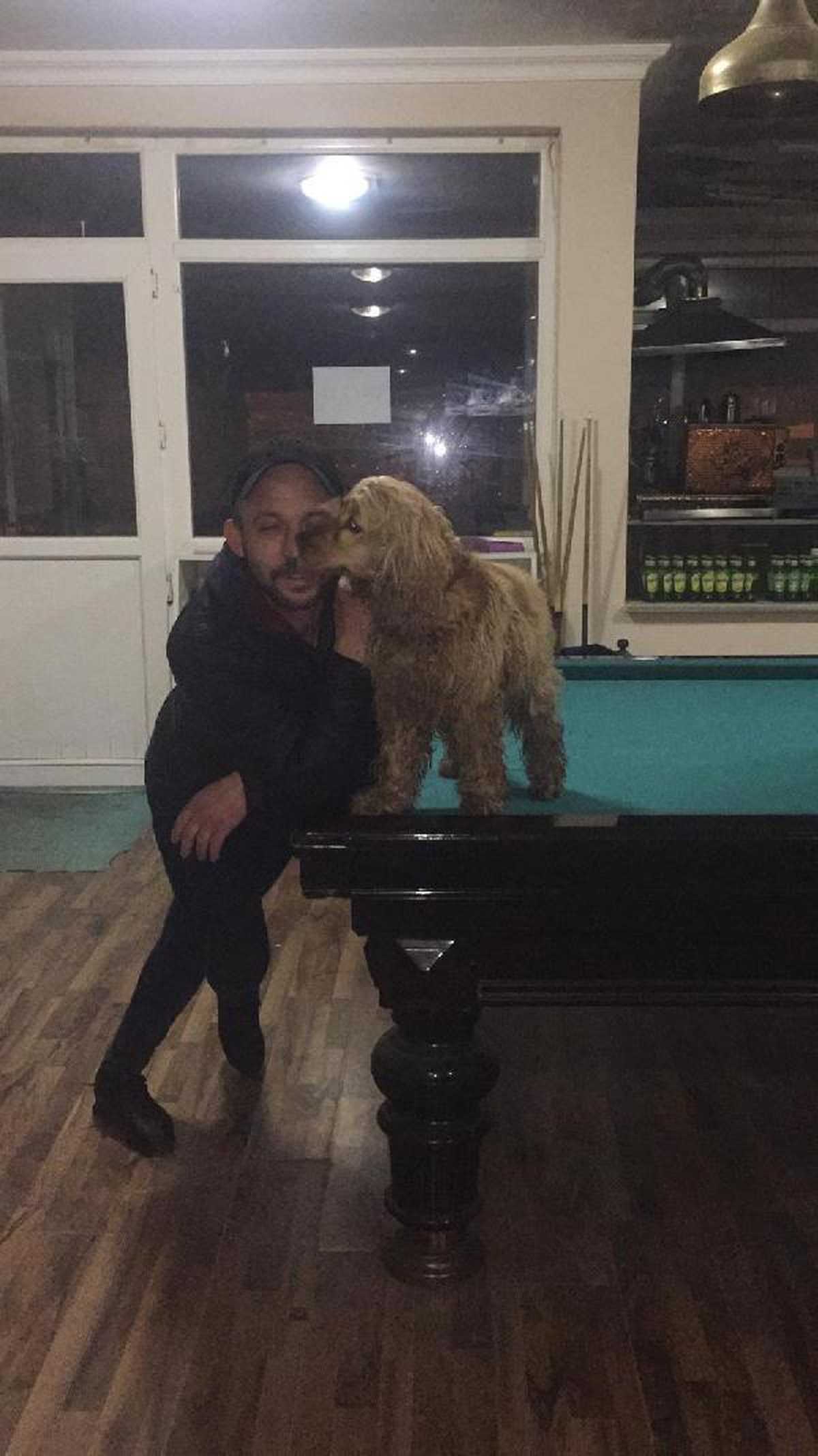 Bulunması için ödül vadettiği kayıp köpeğine kavuştu