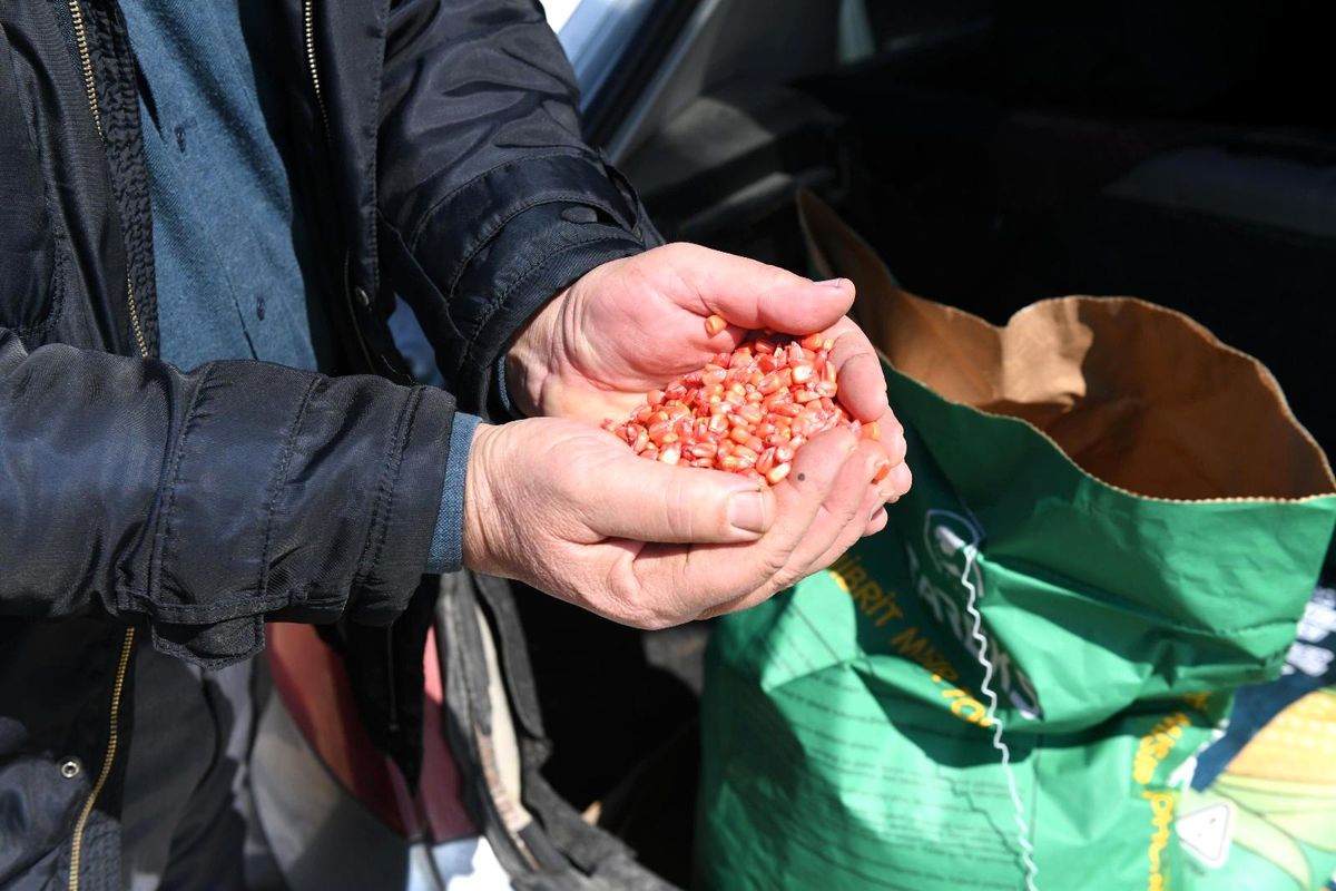 Büyükşehir\'in kırsal kalkınma hamlesi ile başkentli çiftçilerin yüzü gülüyor