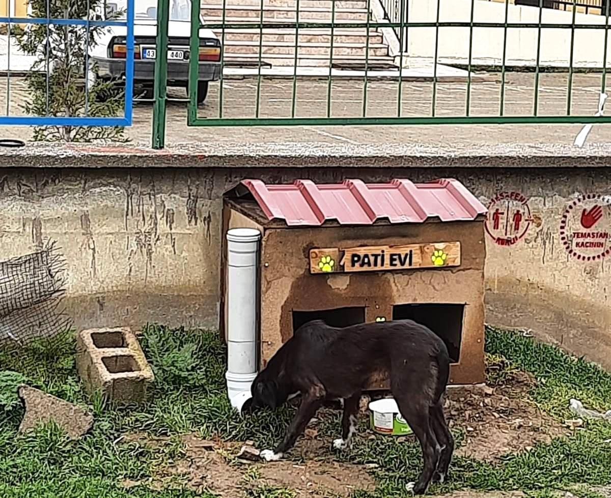 Son dakika haberi... Hisarcık Şehitler Ortaokulu\'nda "Pati Evi" projesi