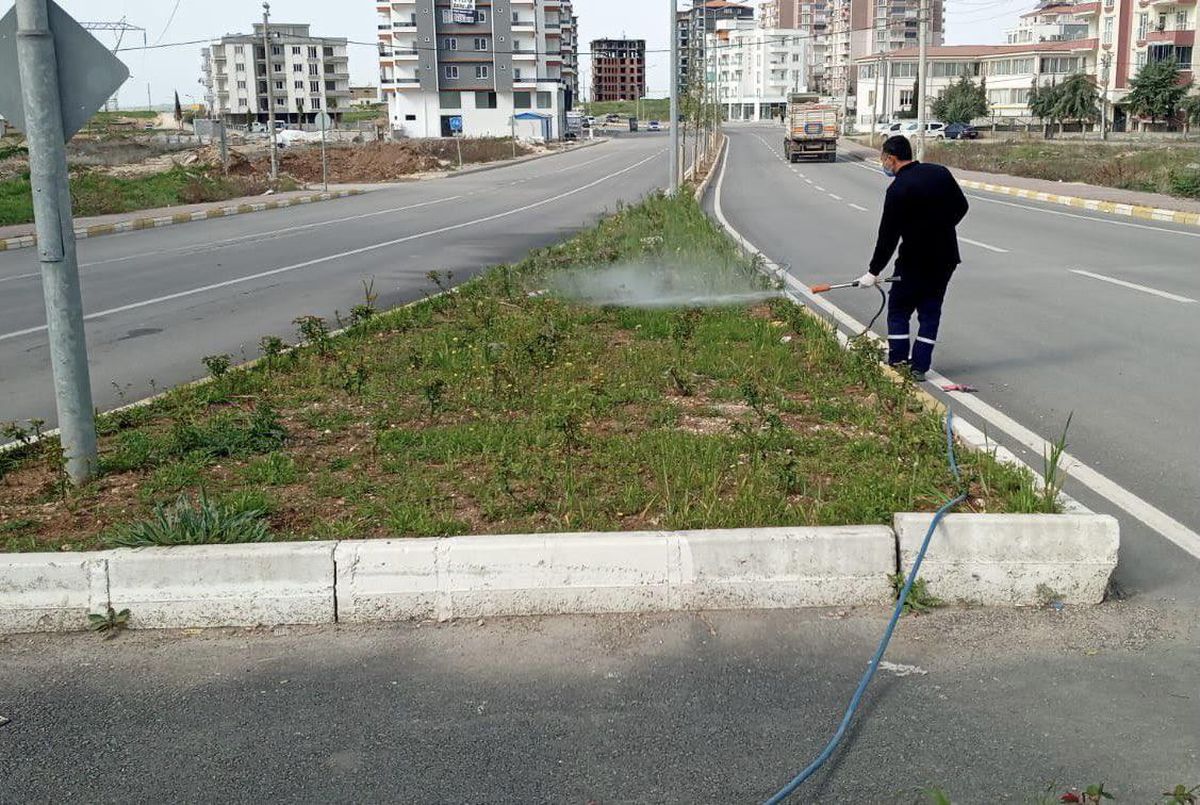 Kavşak, Refüj ve Parklarda Haşere Mücadelesi
