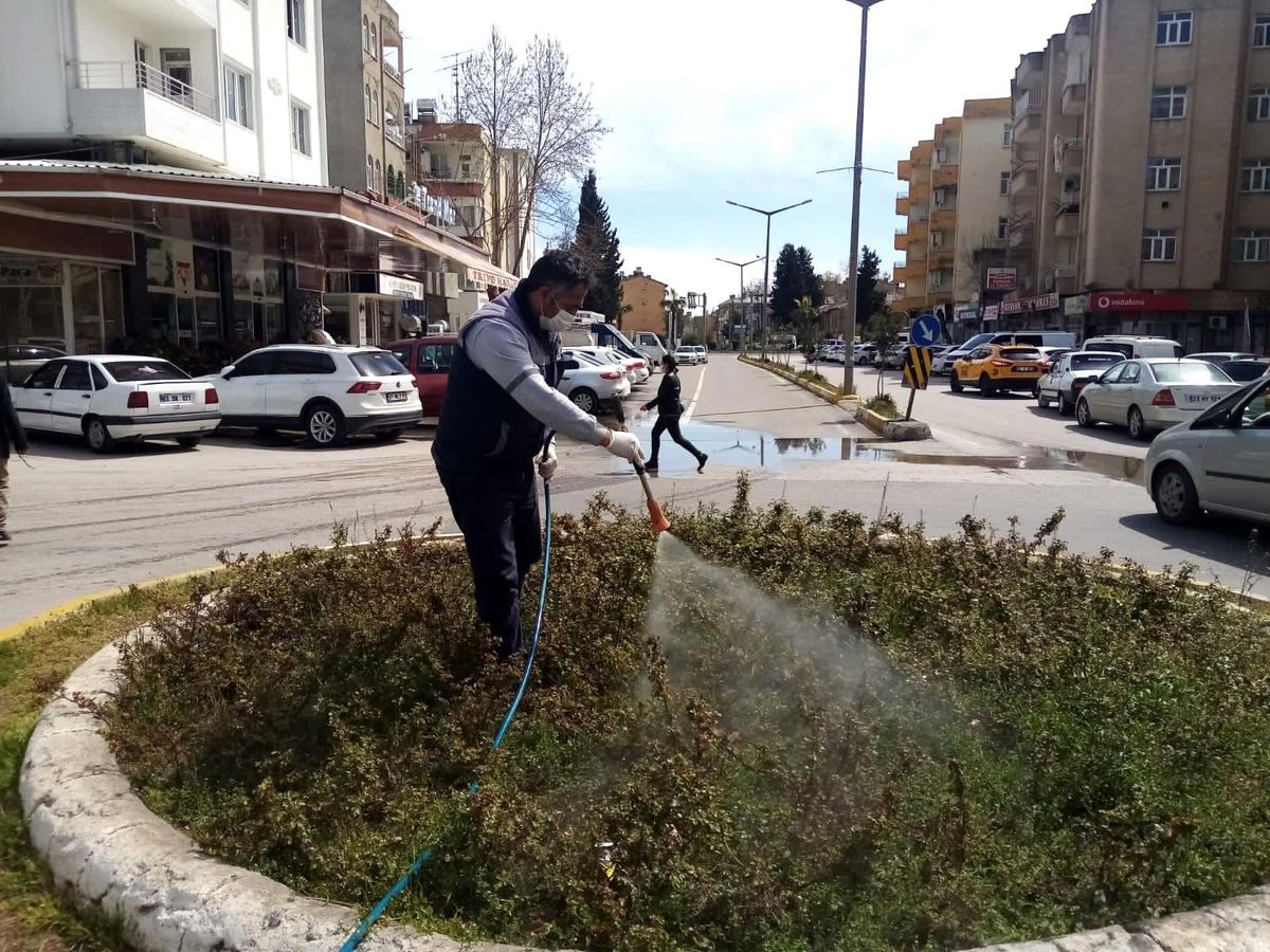 Parklarda haşere mücadelesi