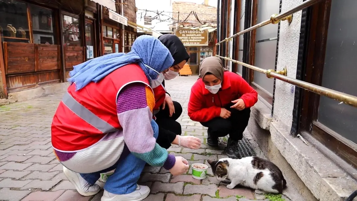 Safranbolu\'dan Genç Kızılay faaliyete başladı