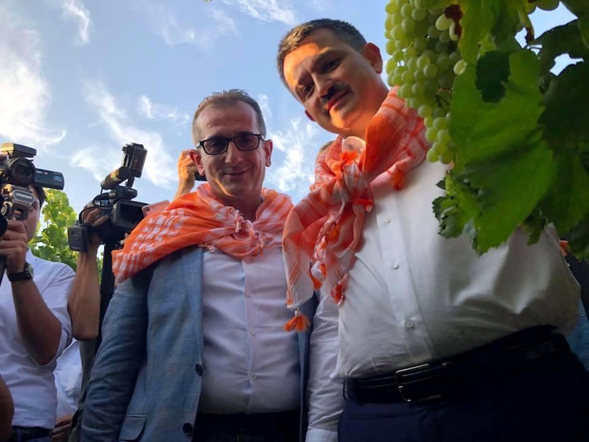 Salihli\'deki don zararı yüzde 10 ila 30 arasında