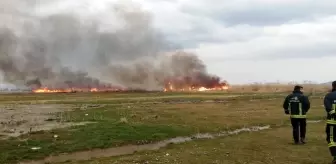 Sazlık alanda korkutan yangın