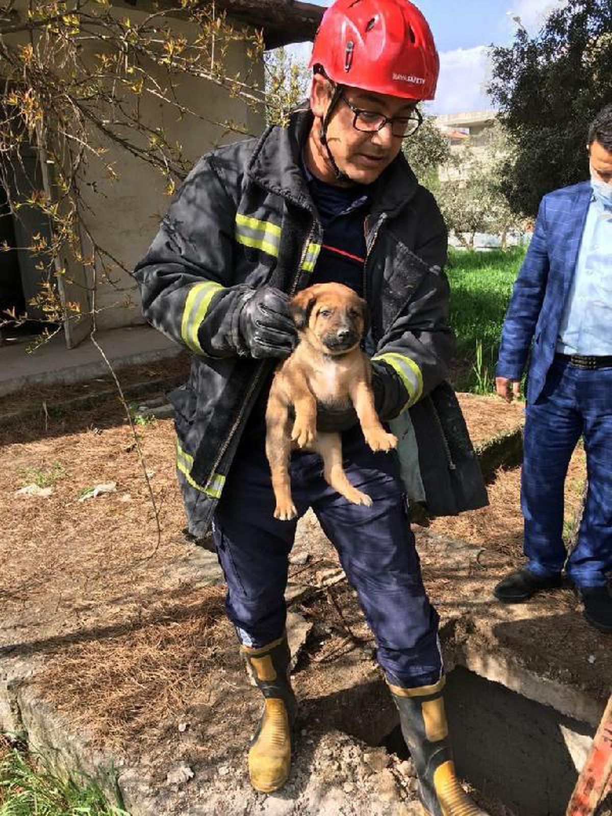 Son dakika haberi | Foseptiğe düşen yavru köpek kurtarıldı, annesi bir an bölgeden ayrılmadı
