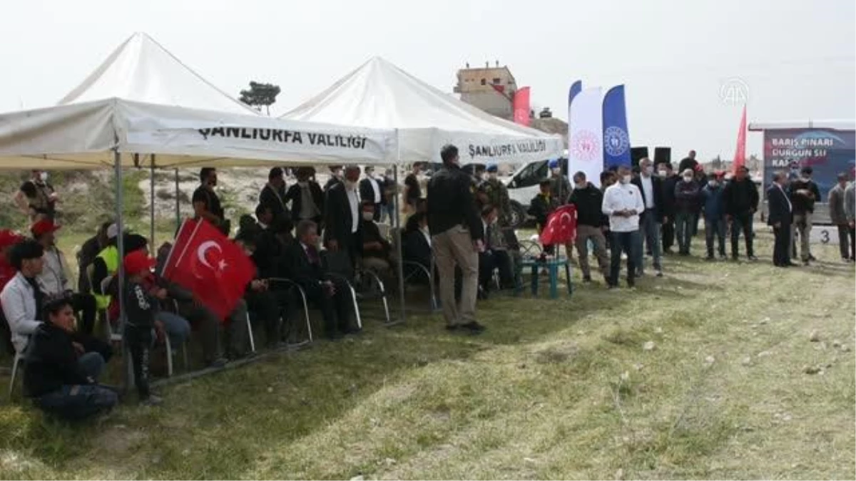Son dakika haberleri... TEL ABYAD - Barış Pınar Harekatı bölgesinde Durgun Su Kano Festivali düzenlendi