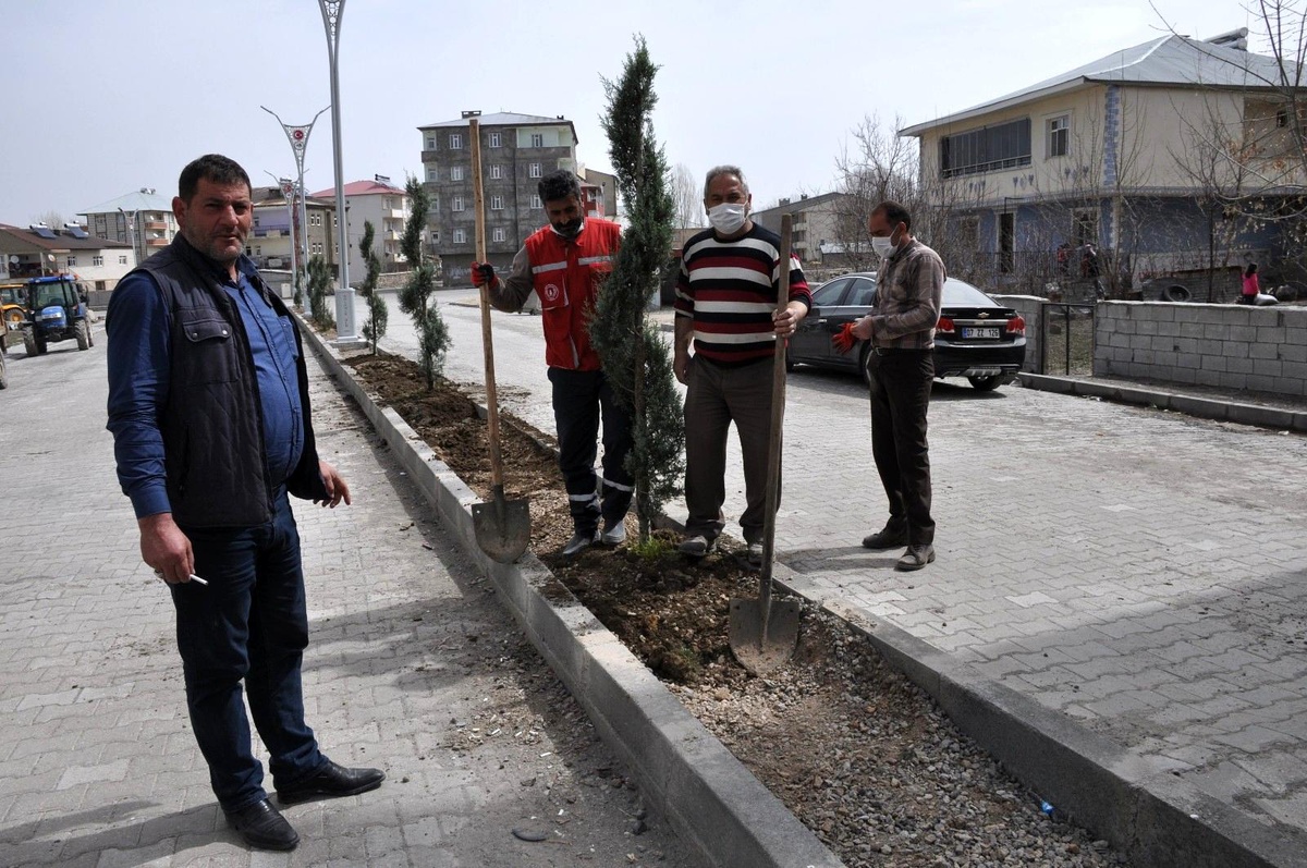 Bulanık Belediyesinden ağaçlandırma çalışması