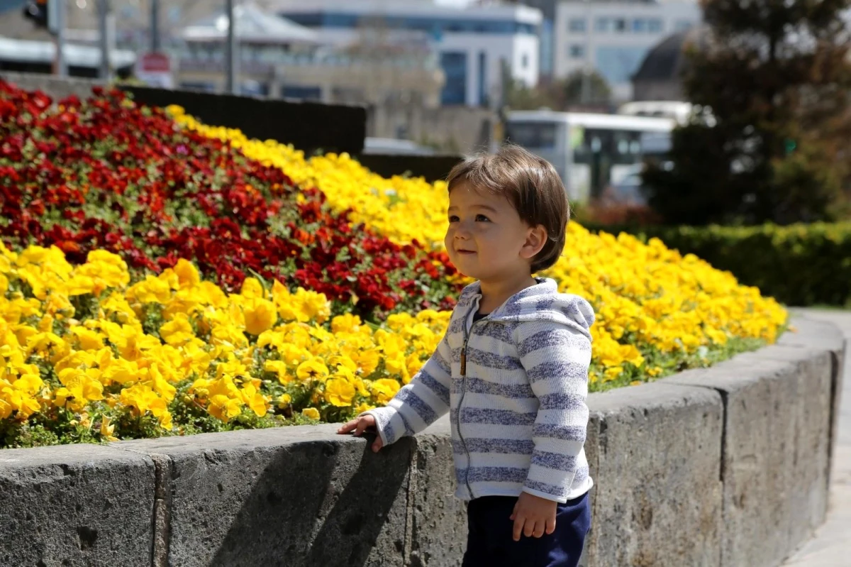 Büyükşehir Belediyesi ekiplerinin diktiği çiçekler kenti renklendirdi