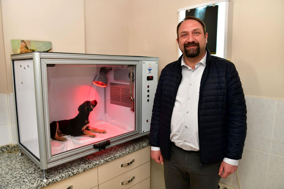 Çiğli Belediyesinden hayvan dostu proje: Yoğun Bakım Ünitesi