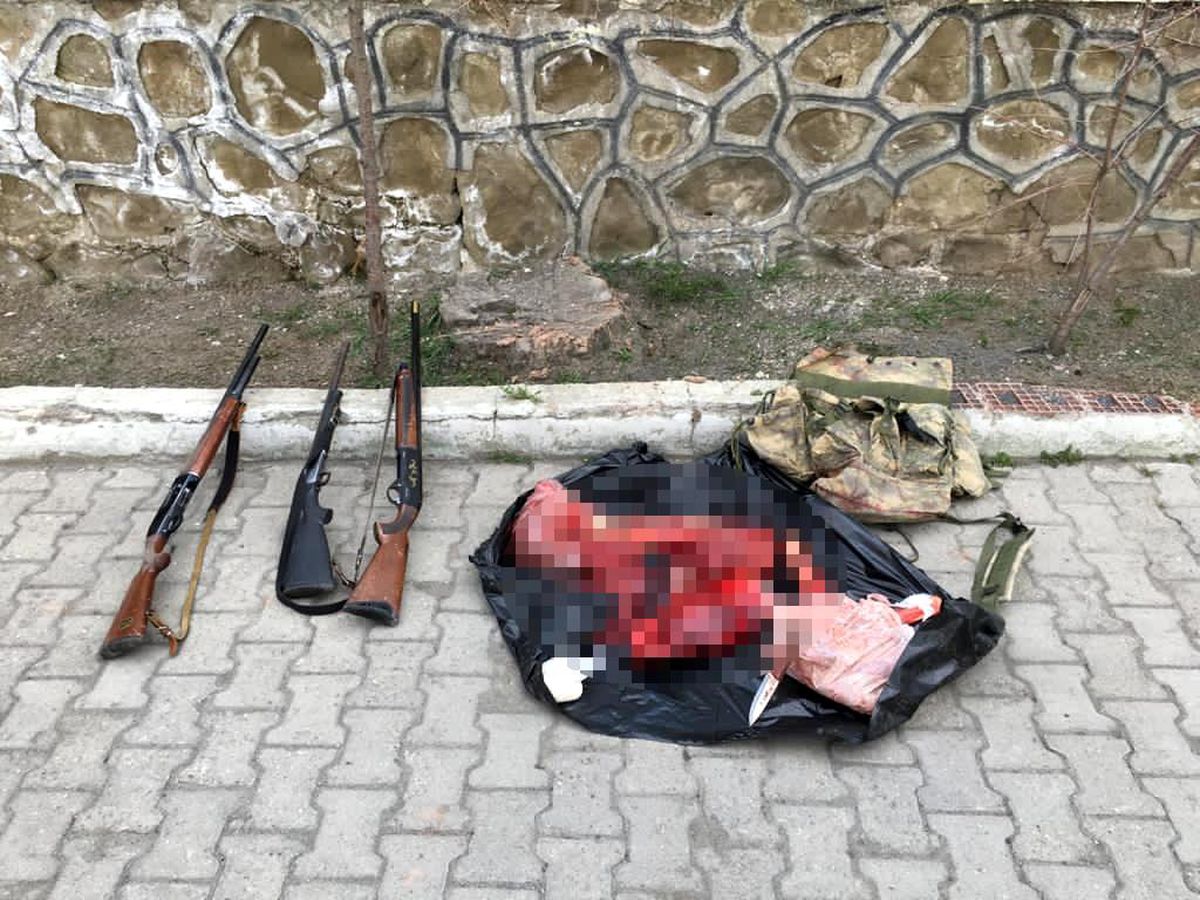 Erzurum\'da kaçak dağ keçisi avı yapan şahıslar suçüstü yakalandı