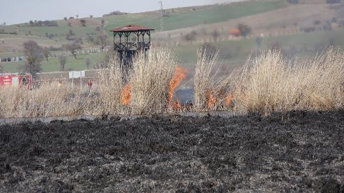 Son dakika: Gölünyazı Kuş Cenneti\'nde yangın (2)