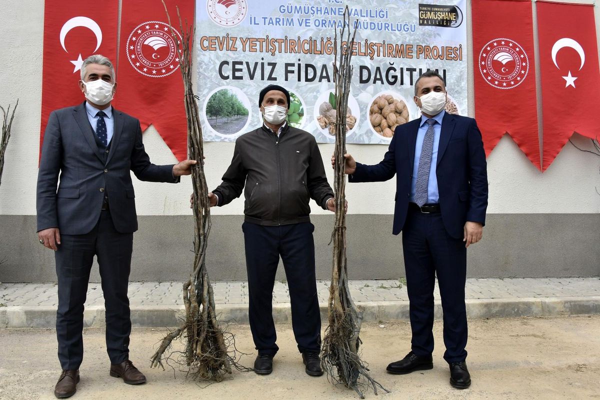 Gümüşhane\'de üreticilere 5 bin 600 ceviz fidanı dağıtıldı