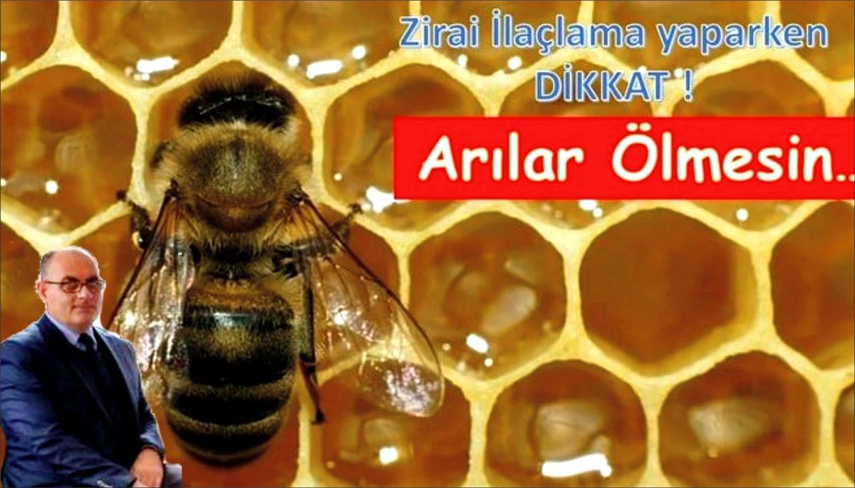 İlaçlamaya "arı" ayarı