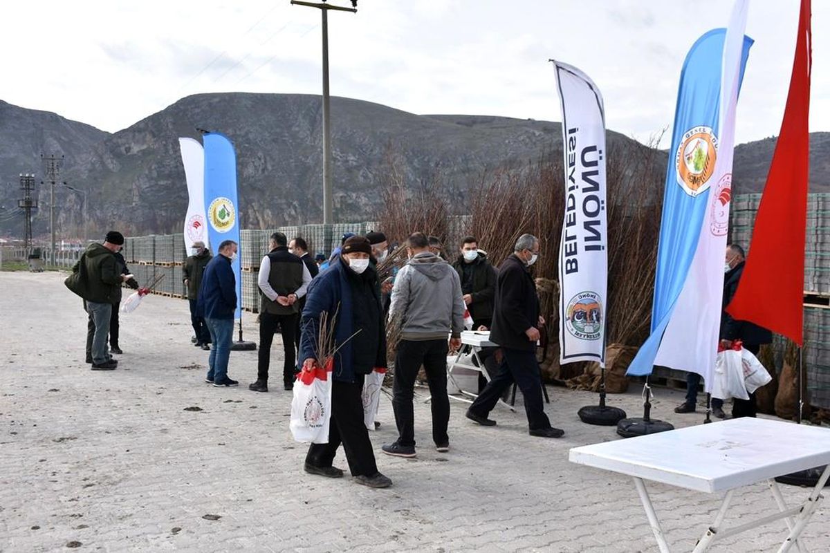 İnönü\'de ücretsiz dağıtılan fidanlar nefes olacak