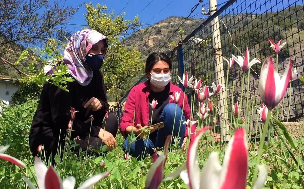 Osmanlı\'nın kayıp lalesi koruma altına alınacak