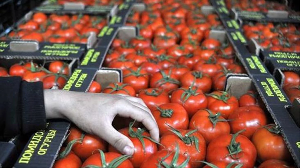 Rusya Tarım Bakanlığı, Türkiye\'den ithal edilen domates kotasının 300 bin tona çıkarılmasını önerdi