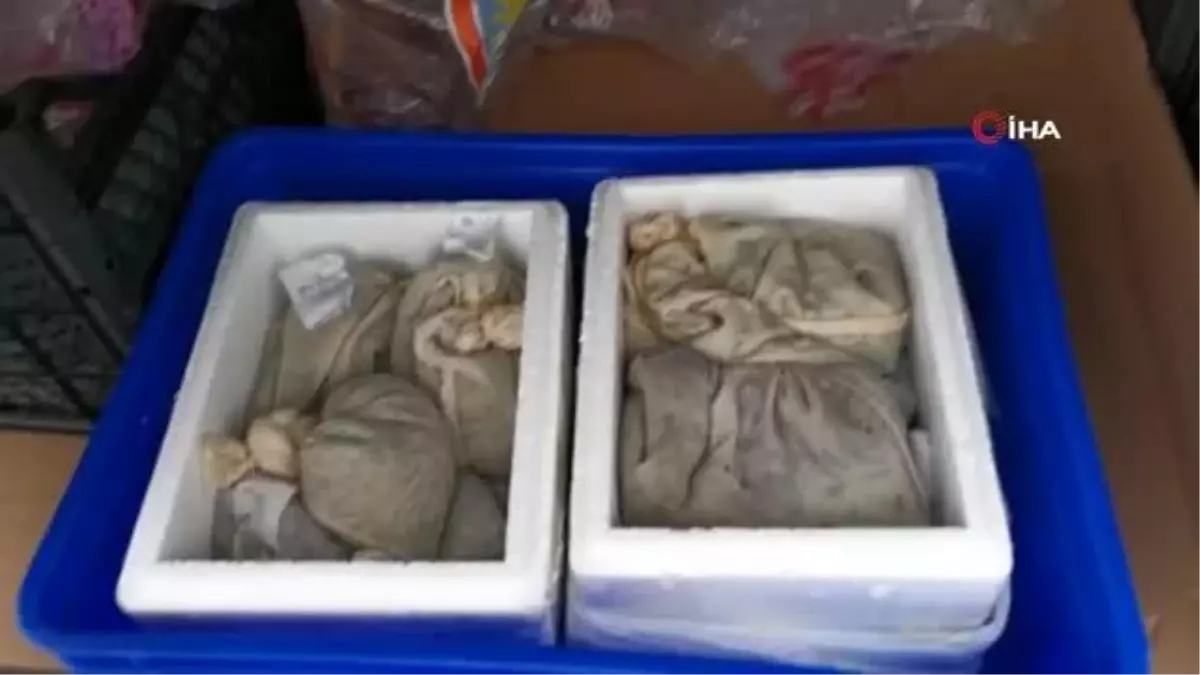 Sabiha Gökçen Havalimanı\'nda yabancı uyruklu yolcunun valizinden 3 binden fazla sülük çıktı