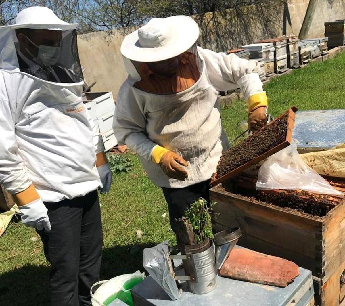 Tekirdağ\'da arı kovanları bakımdan geçiyor