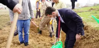 TOKAT'TA SAĞLIK ÇALIŞANLARI İÇİN 2 BİN FİDAN