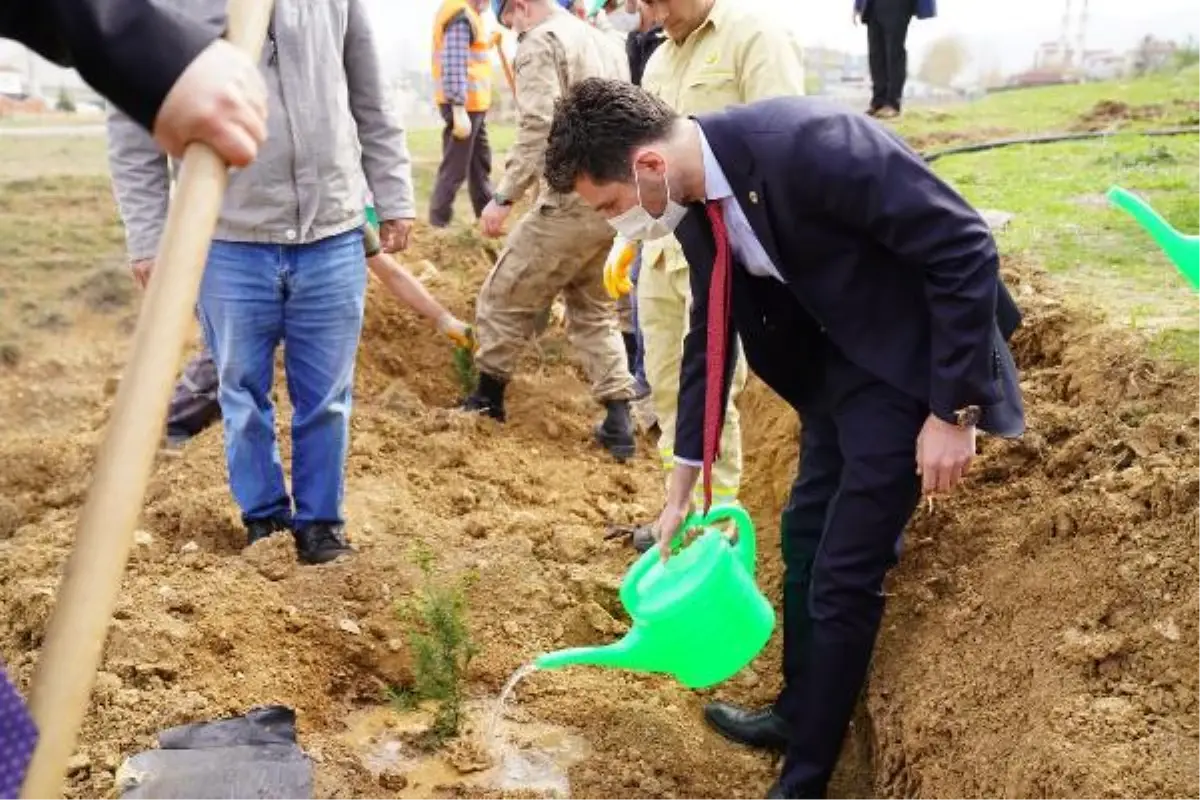 TOKAT\'TA SAĞLIK ÇALIŞANLARI İÇİN 2 BİN FİDAN