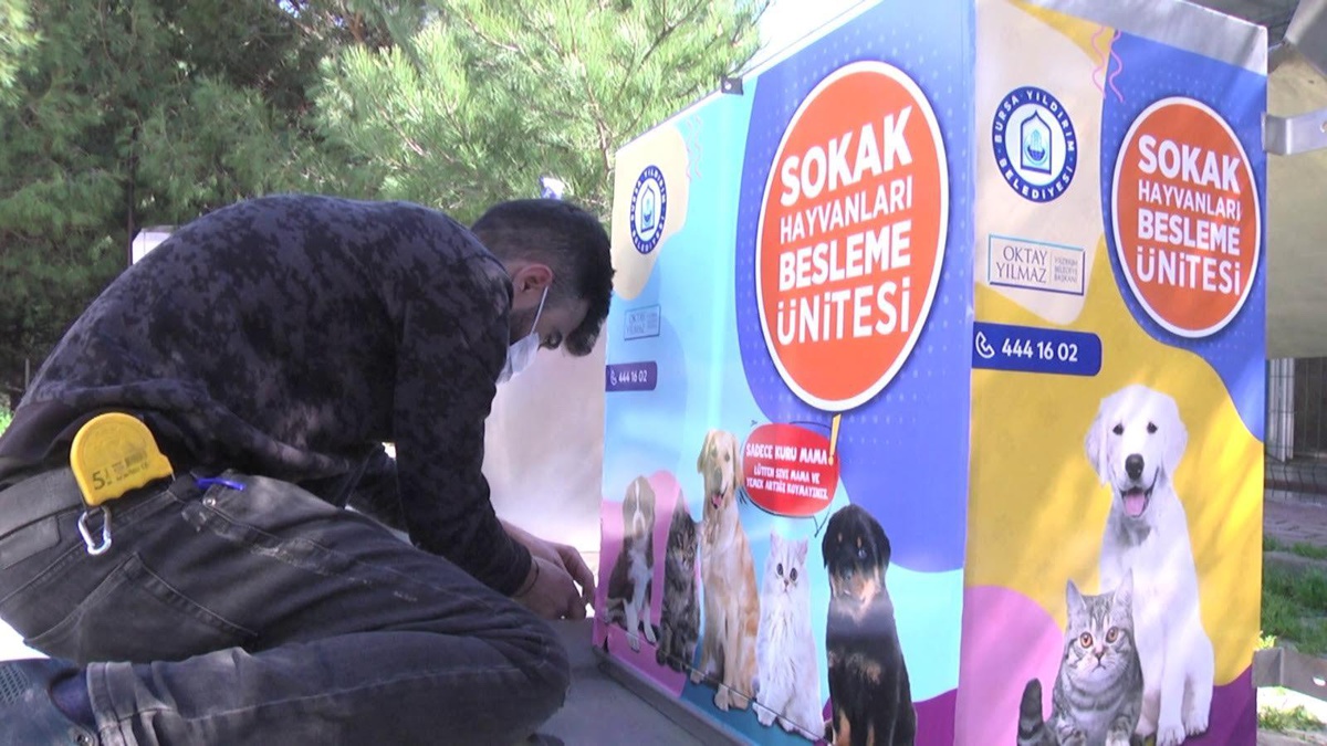 Yıldırım sokakların mamamatik ve kedi besleme odakları yerleştirdi