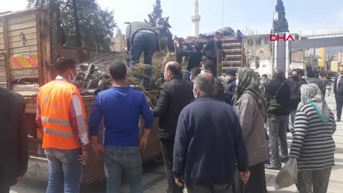 İSLAHİYE\'DE VATANDAŞLARA 65 BİN FİDAN DAĞITILDI