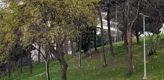 İstanbul'da dolu ve sulu kar sürprizi