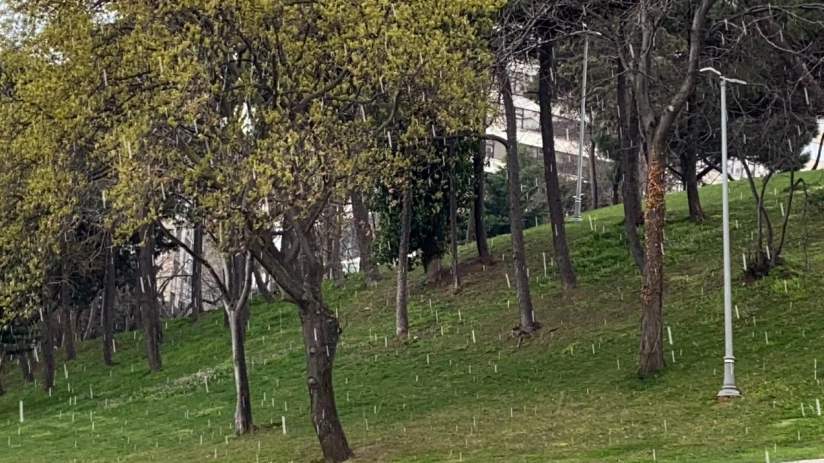 İstanbul\'da dolu ve sulu kar sürprizi