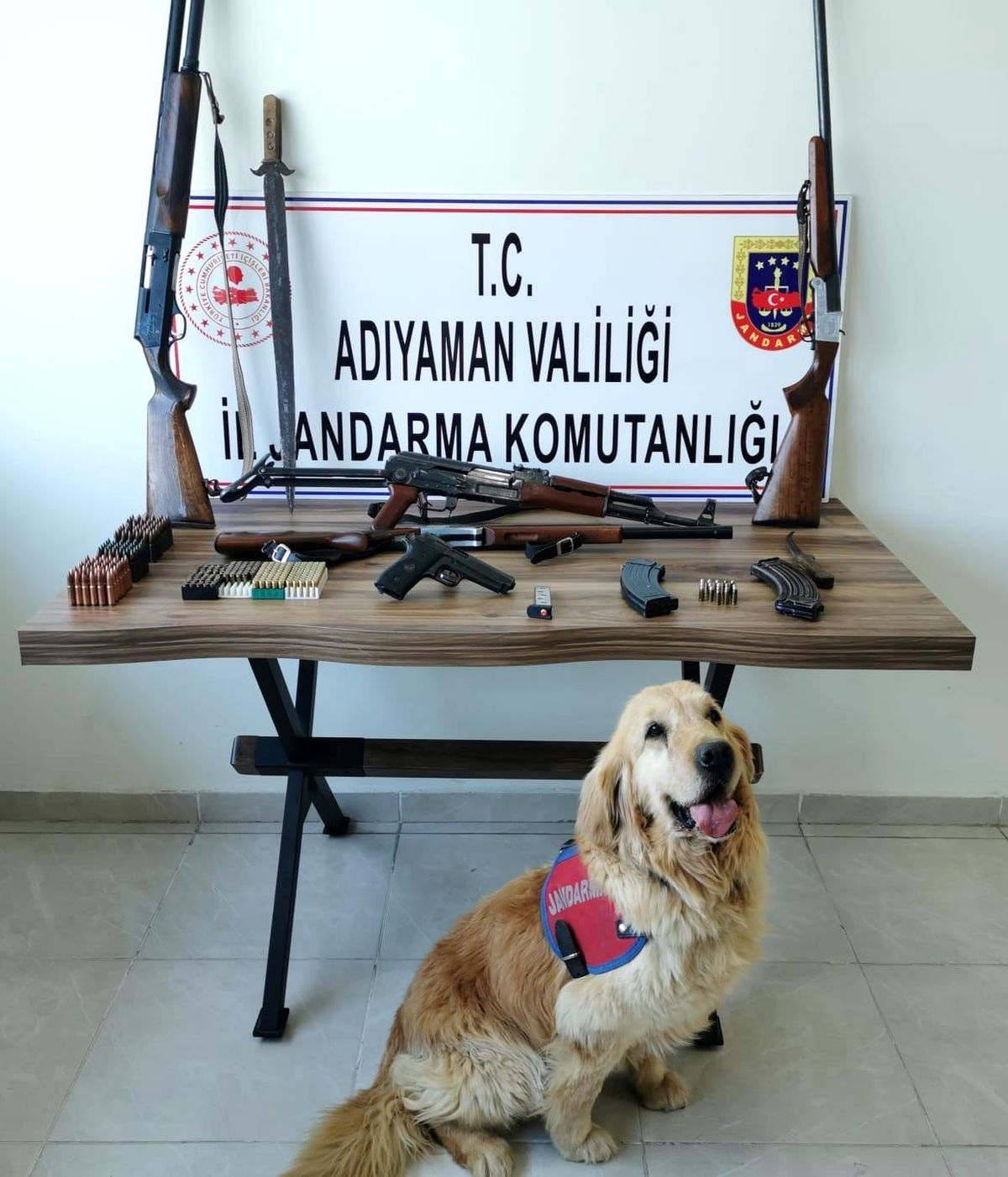 Jandarma silah ele geçirdi