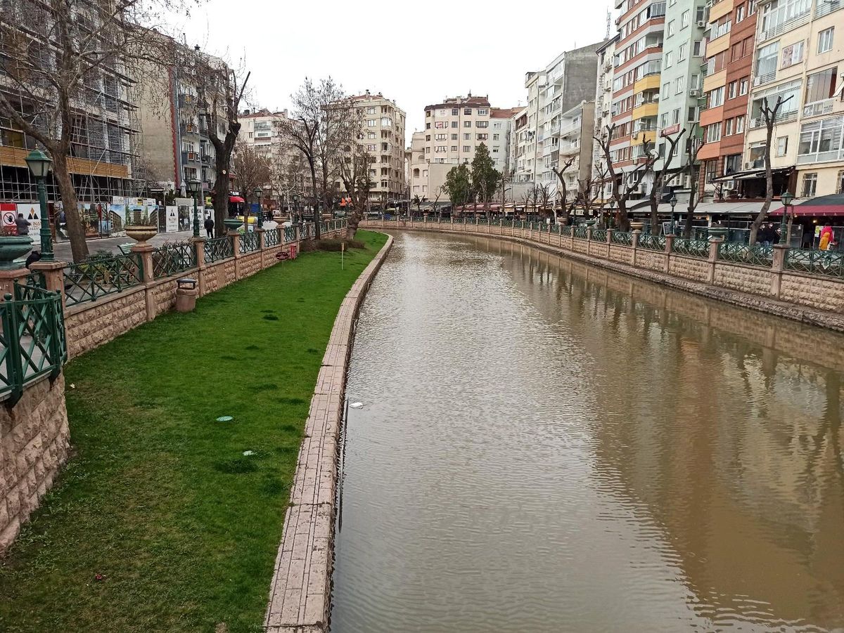 Koronavirüs çimlere yaradı