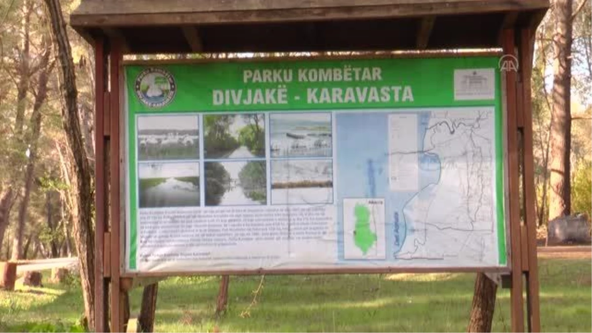 Kültür ve Turizm Bakanı Ersoy Arnavutluk\'ta Karavasta Ulusal Parkı\'nı ziyaret etti