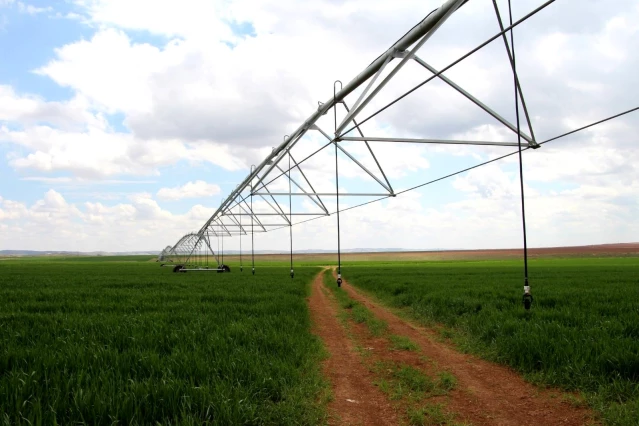 Şanlıurfalı çiftçi 'pivot' sulamayla yüzde 50 tasarruf sağladı