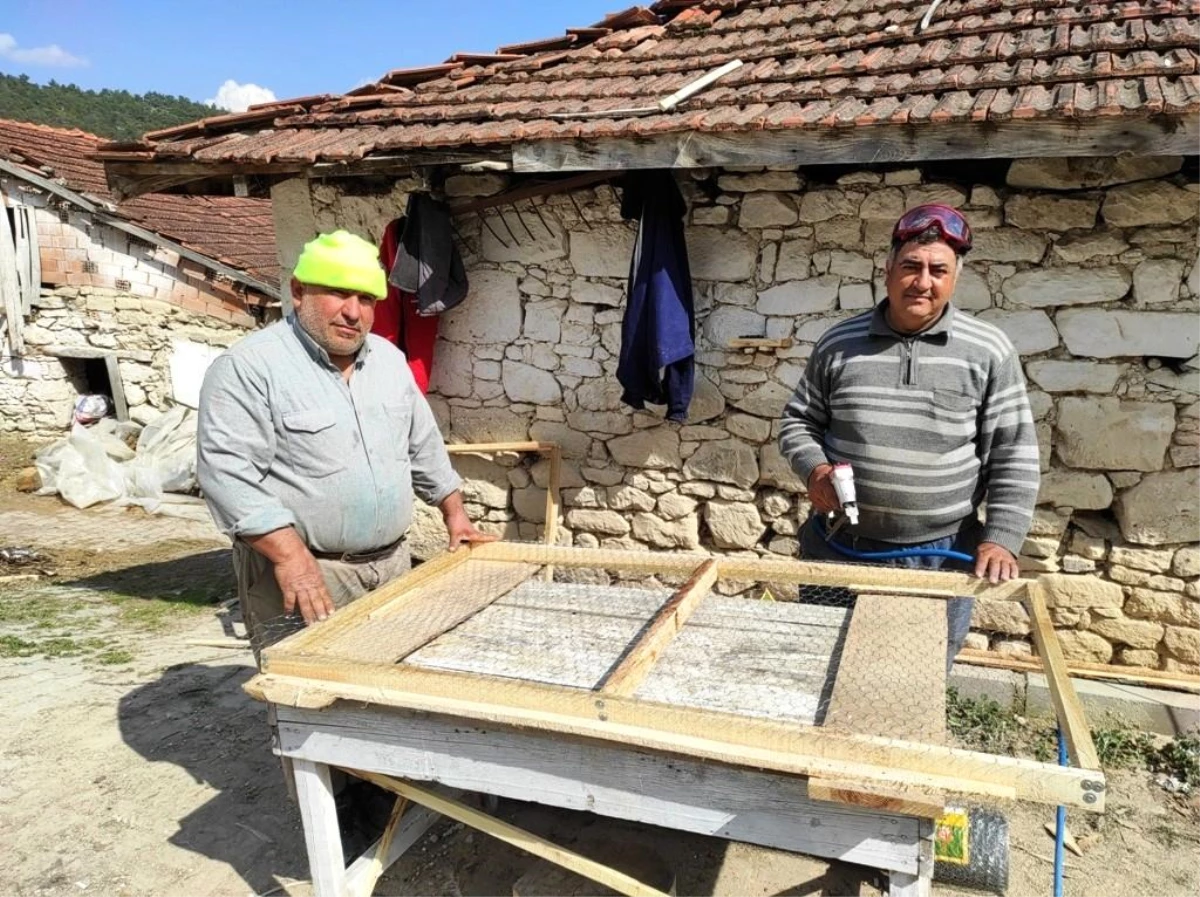 Selendi\'de tütün üreticileri çalışmalarına başladı