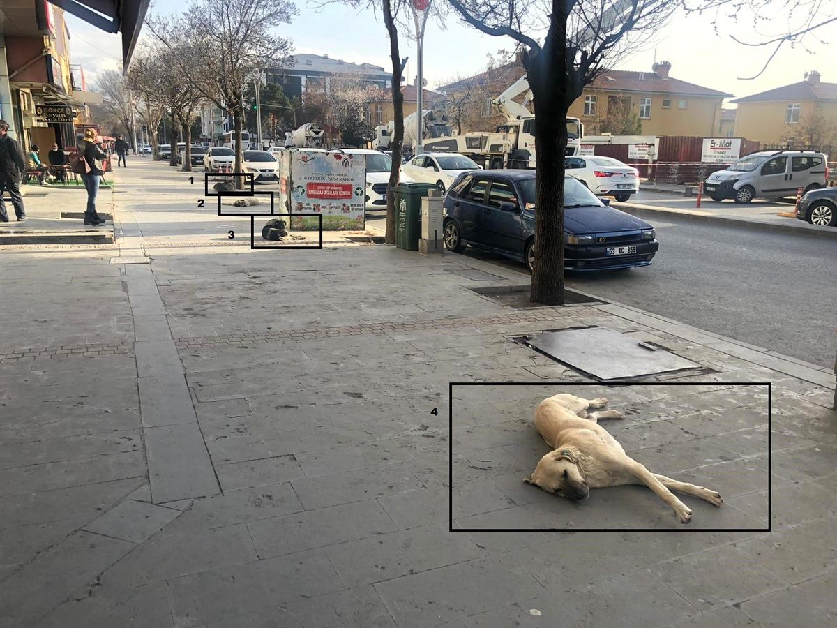 Sosyal mesafeli şekerleme