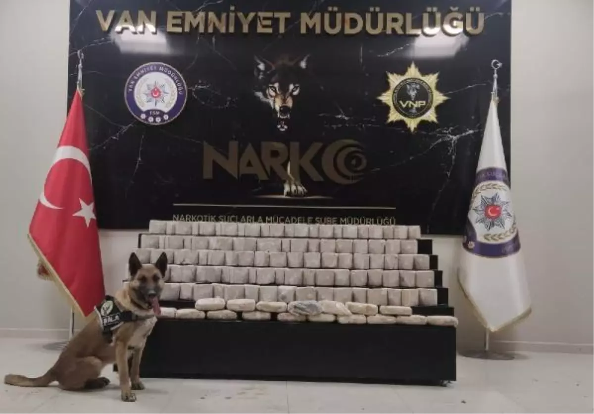 TOPRAĞA GÖMÜLÜ ÇANTALARDAKİ 61 KİLO EROİNİ, NARKOTİK KÖPEKLER BULDU